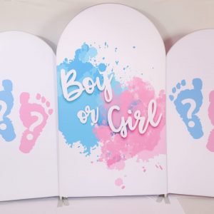 Baby Feet Gender Reveal Backdrop